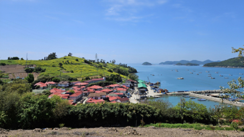 모도
