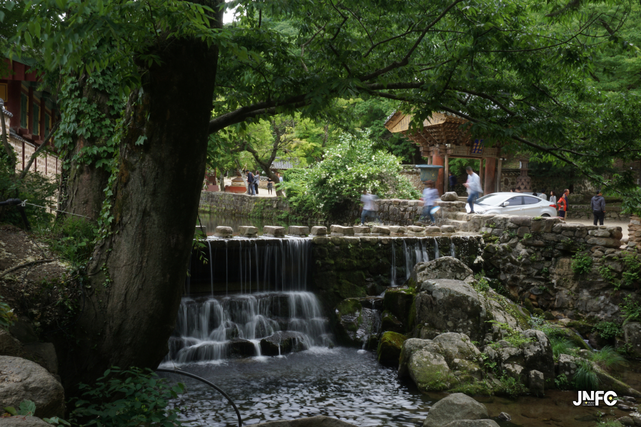 jnfc_63_126831.jpg