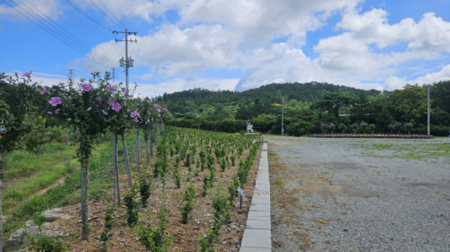 울돌목무궁화동산
