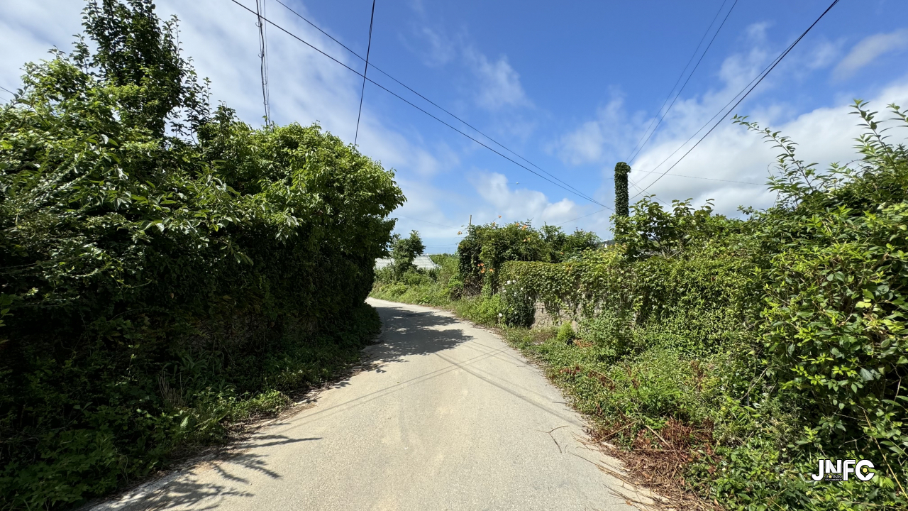 jnfc_6377_134986.jpg