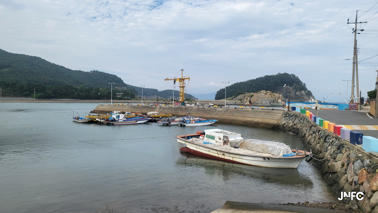 jnfc_6393_157774.jpg
