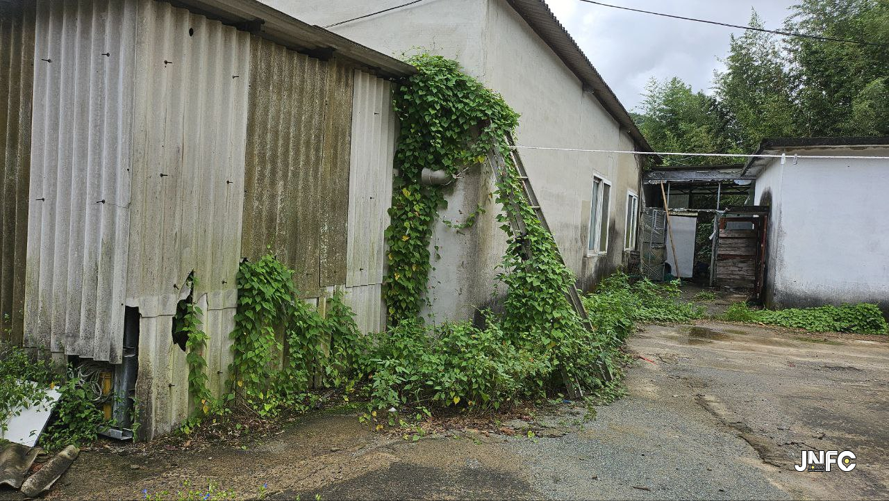 jnfc_6418_155239.jpg
