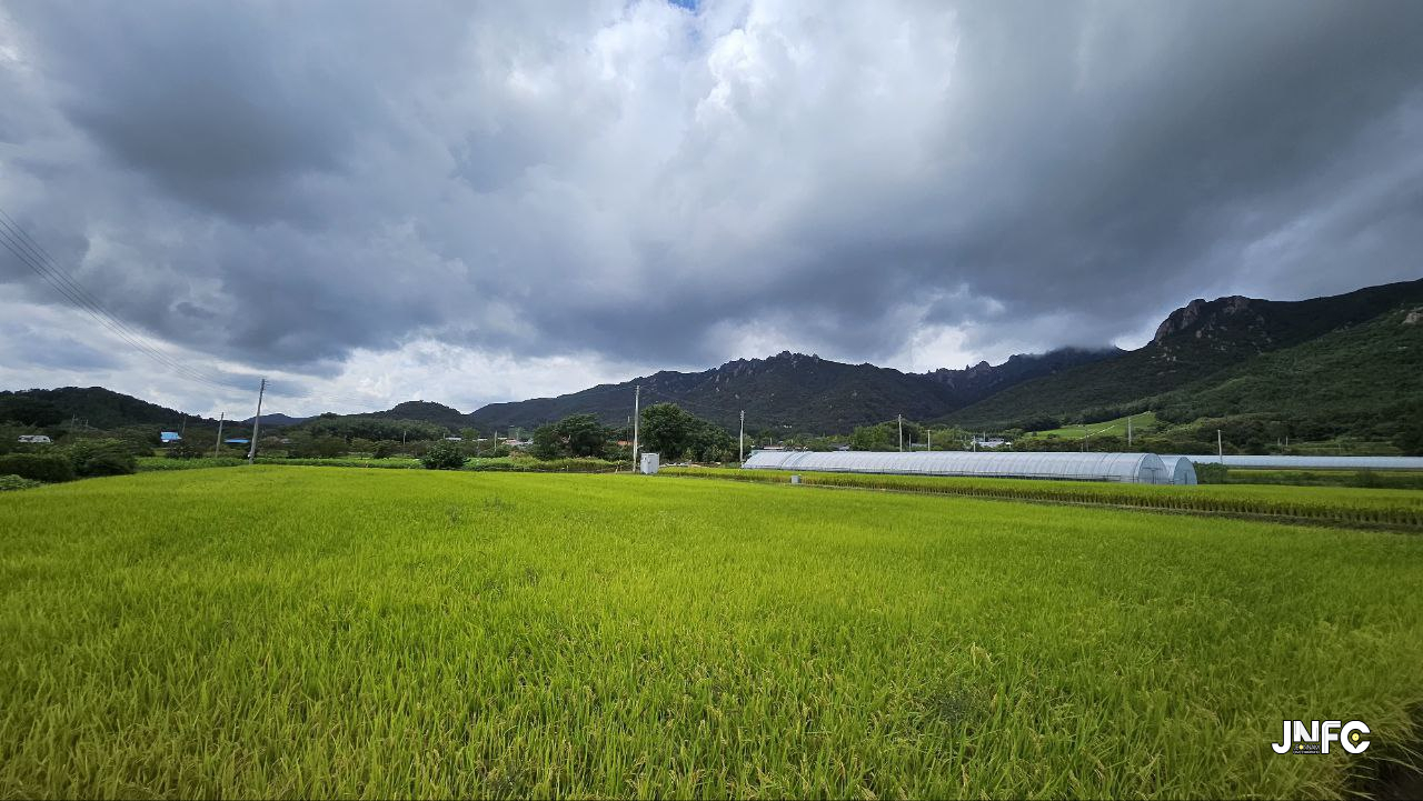 jnfc_6420_155280.jpg