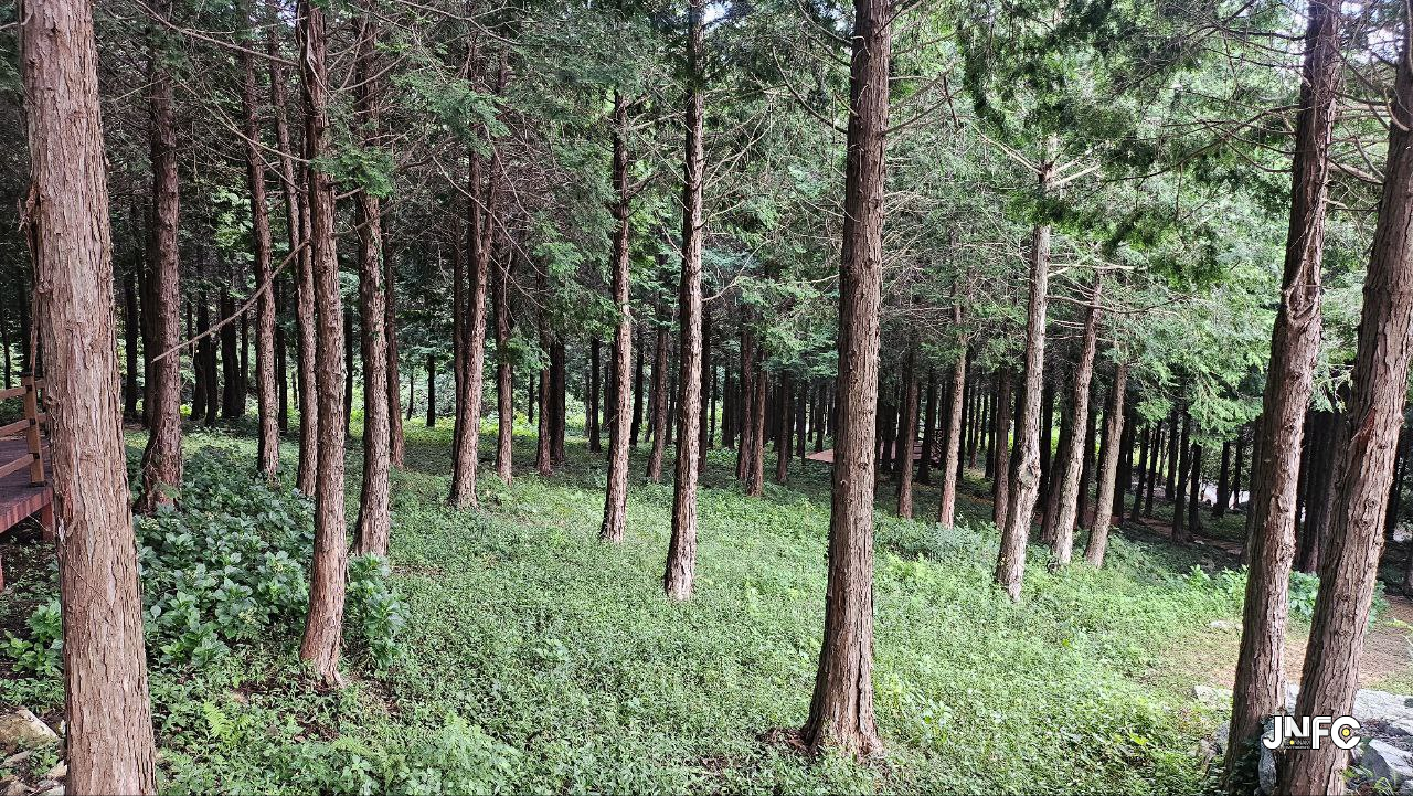 주작산자연휴양림