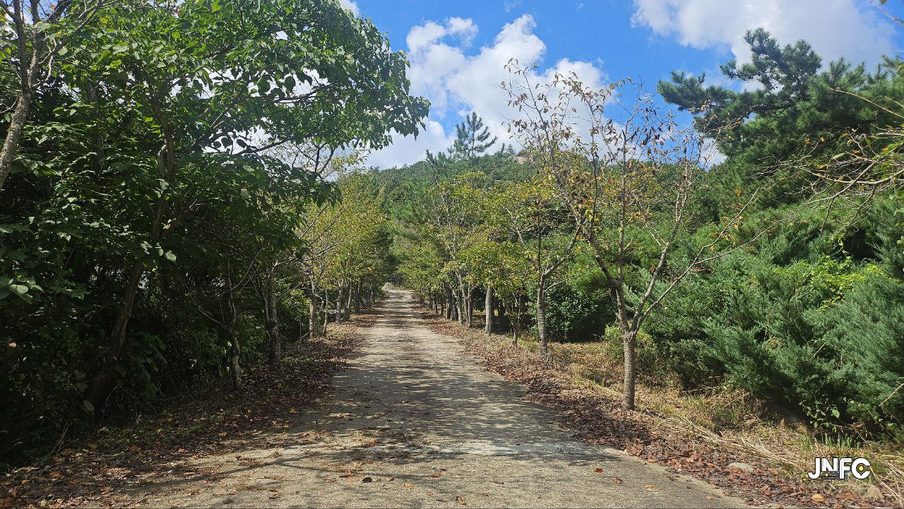 jnfc_6432_155519.jpg