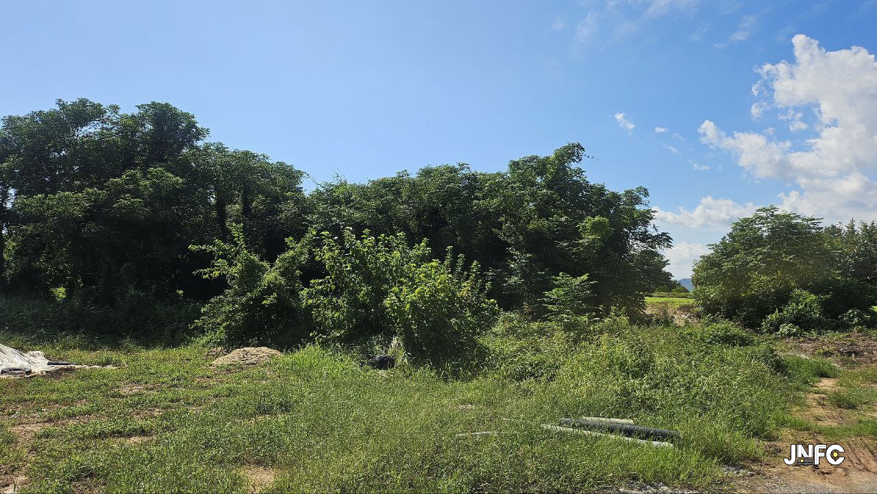 jnfc_6433_155551.jpg