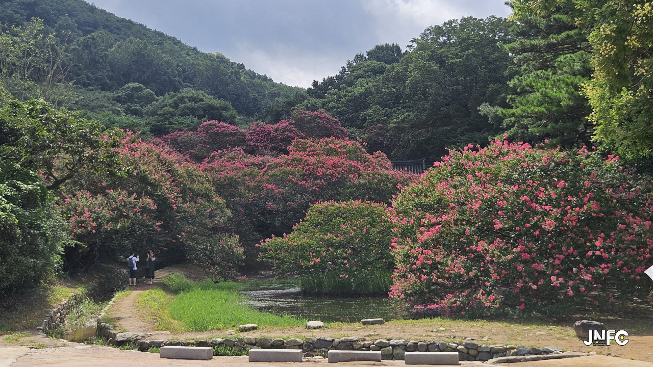 명옥헌