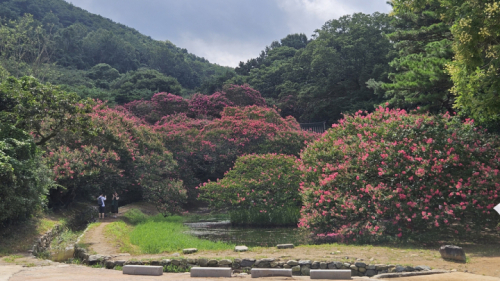 명옥헌
