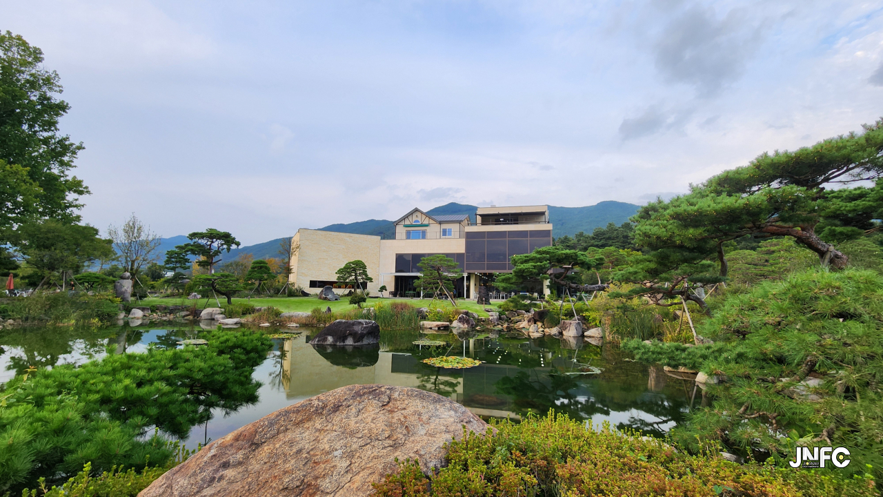 반야원 플라타너스