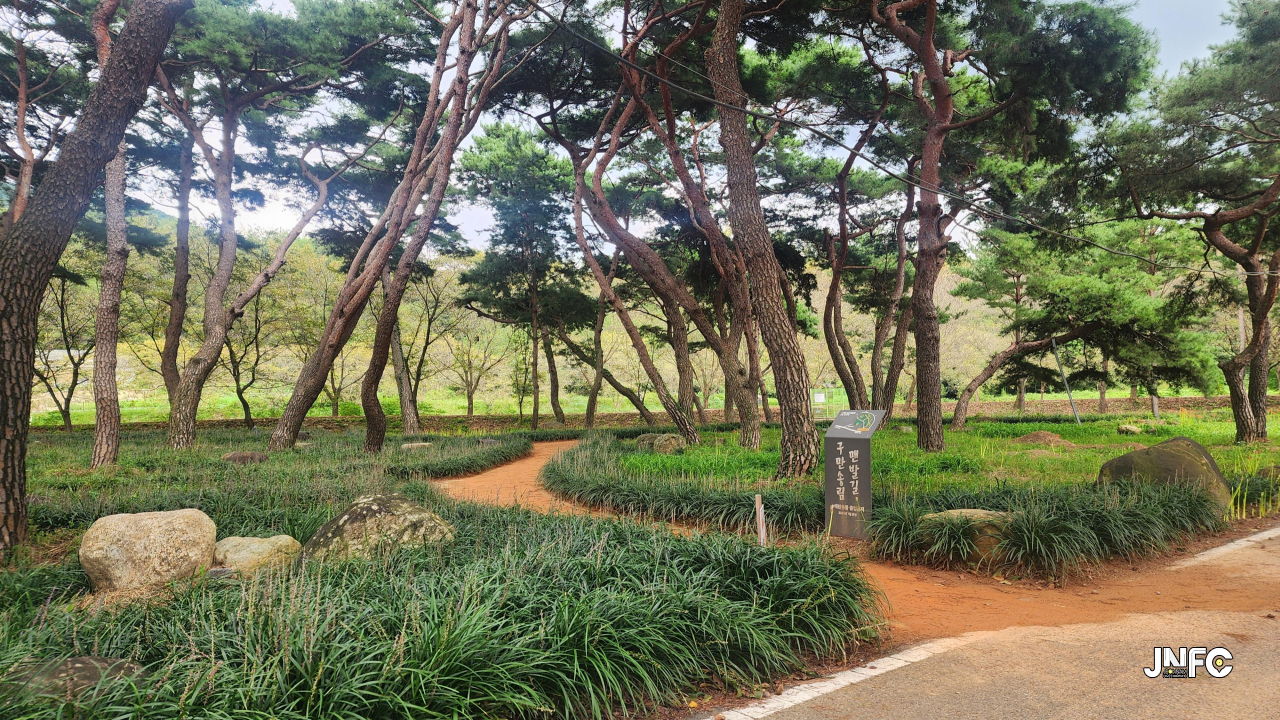 구만송림 전통마을숲