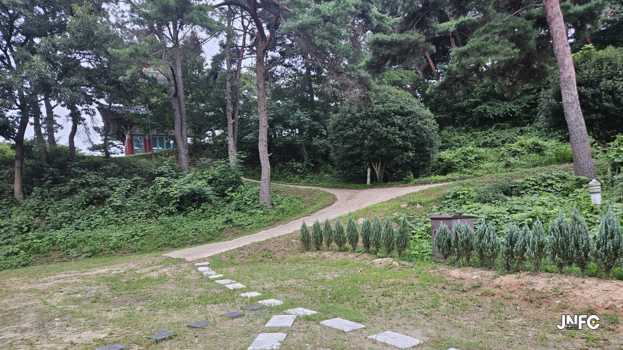 jnfc_6590_156314.jpg