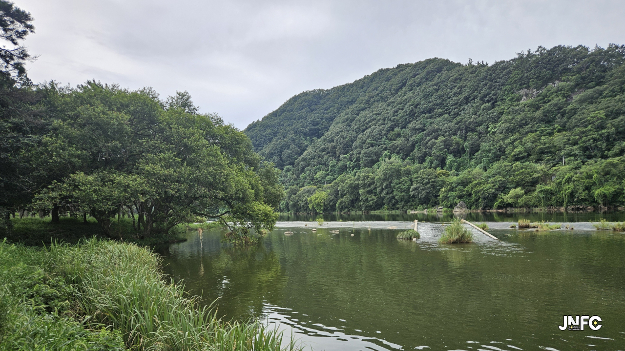 드들강솔밭유원지