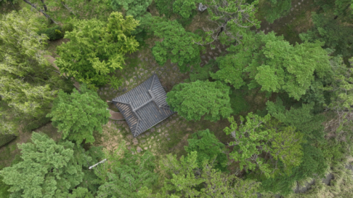 드들강솔밭유원지