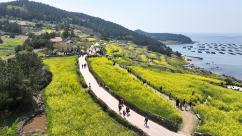 청산도