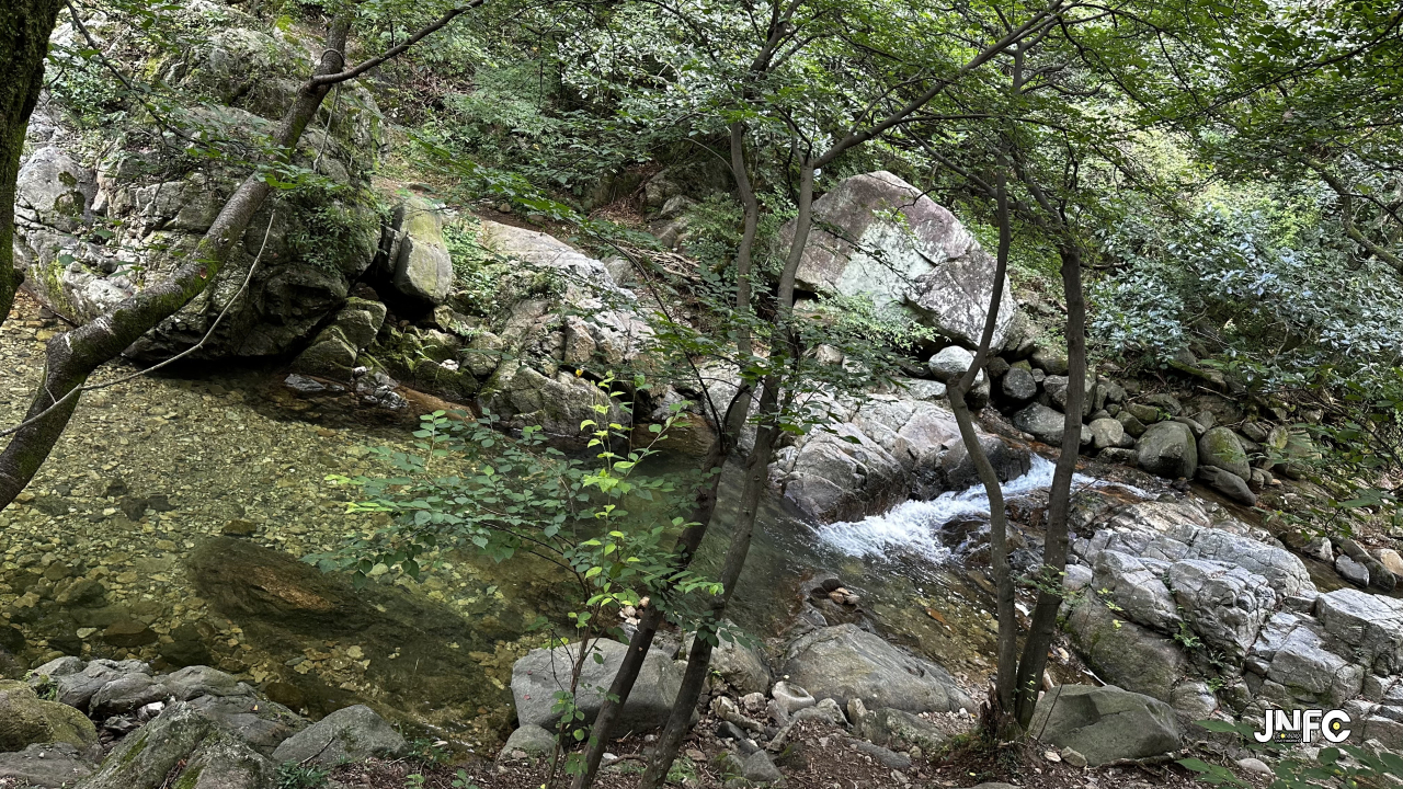 jnfc_6600_156724.jpg