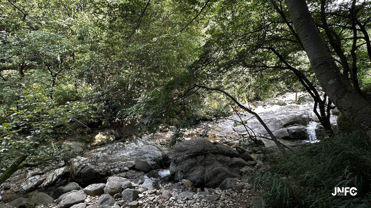 jnfc_6600_156725.jpg