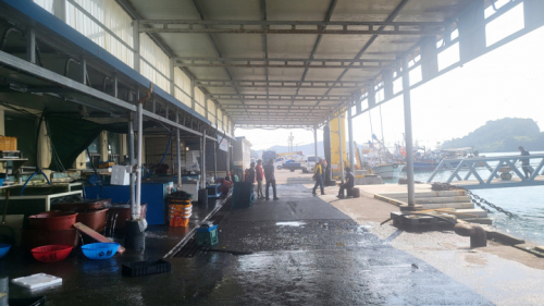 나로도 수협회센터