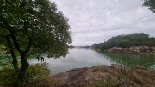 학산면 영산강변