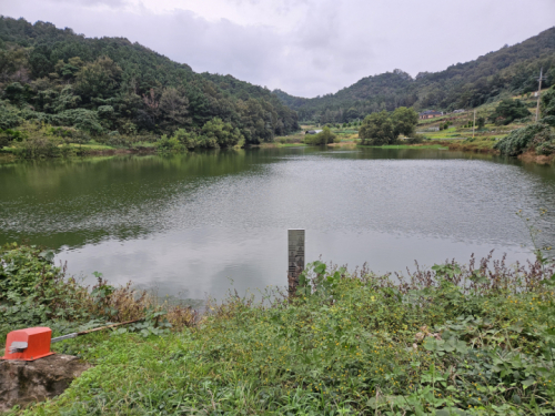 송림저수지
