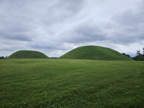 나주대안리고분군