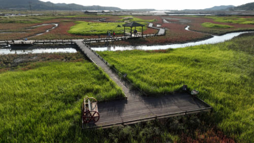 태평염생식물원