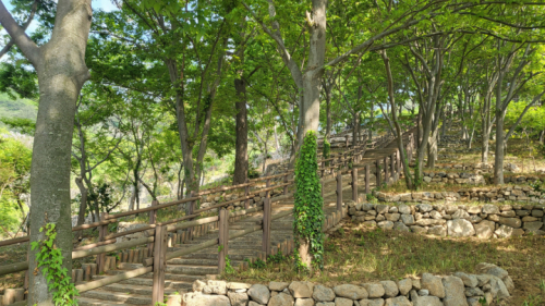 백수해안도로_365계단