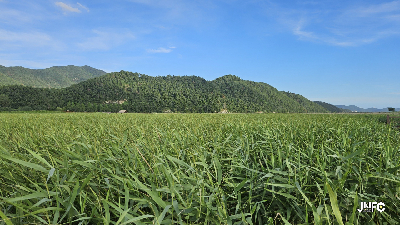 jnfc_72_134594.jpg