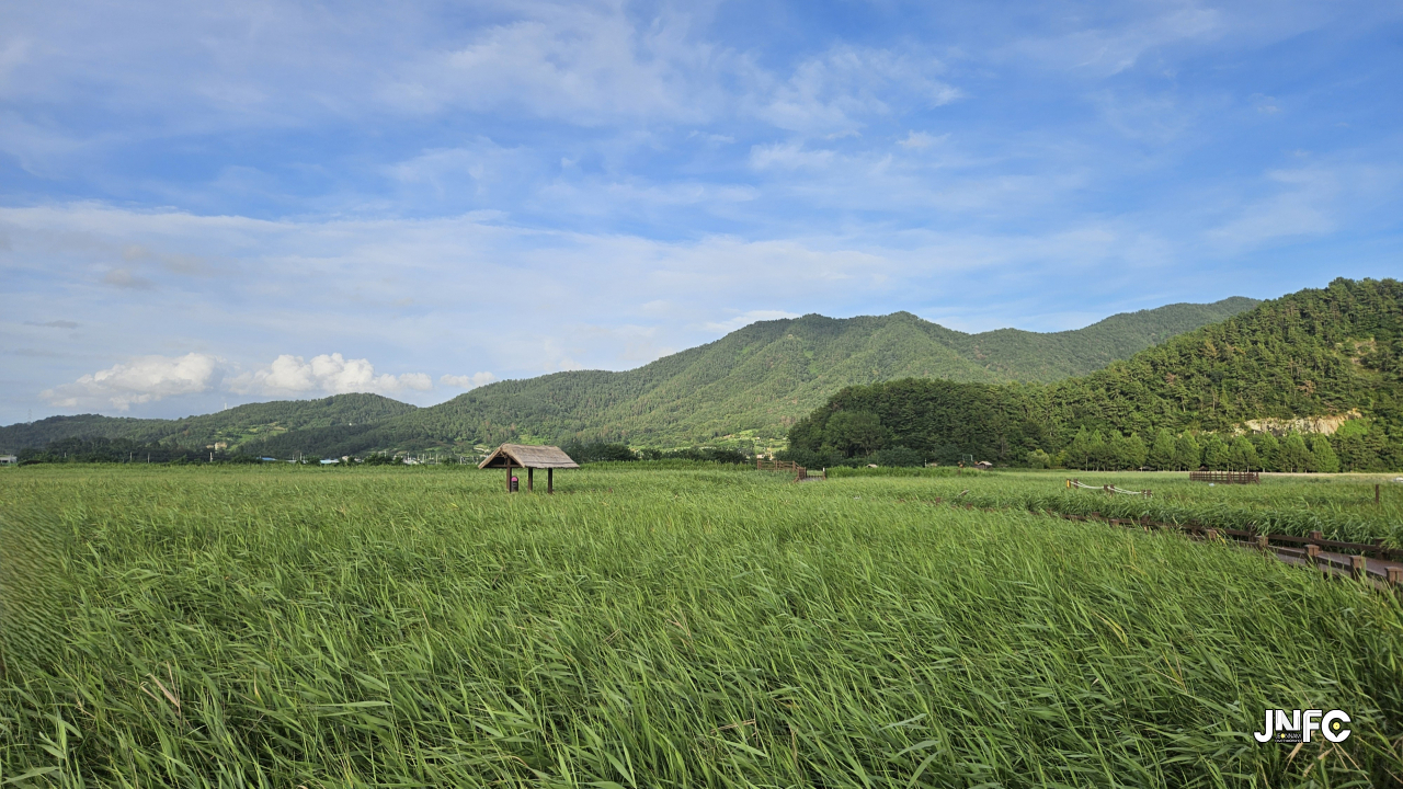 jnfc_72_134596.jpg