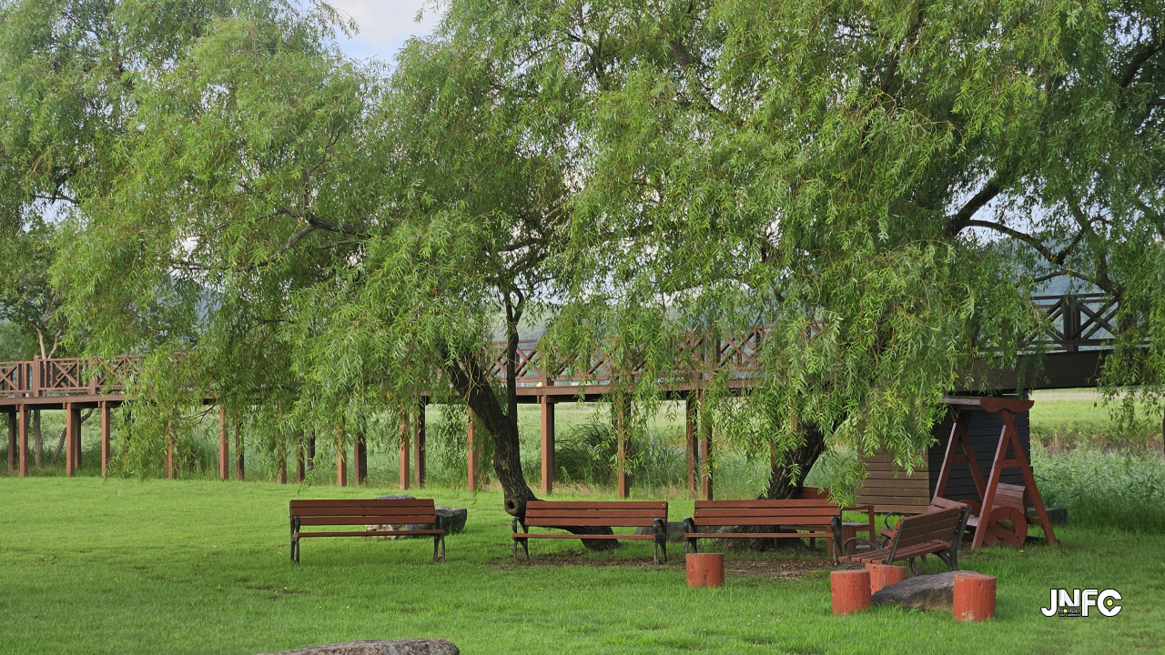 jnfc_72_134599.jpg